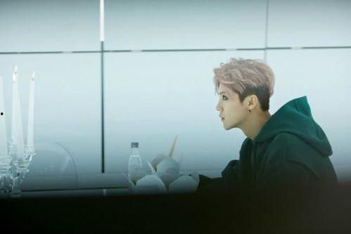 鹿晗爆料视频在线观看网站,揭秘娱乐圈幕后真相